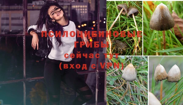 экстази Балахна