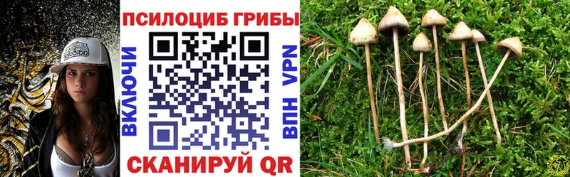 Галлюциногенные грибы ЛСД  Болохово 
